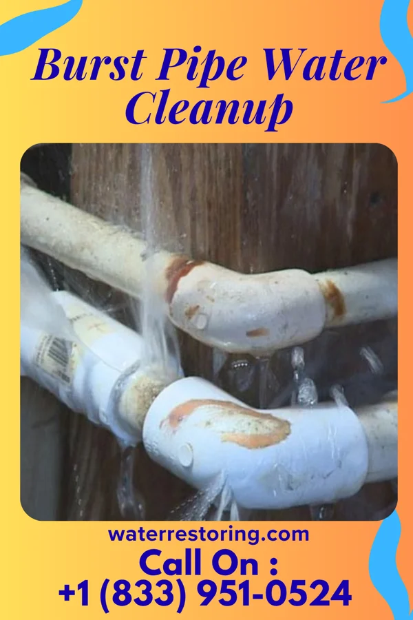 Burst Pipe Water Cleanup in Woodbury, NJ