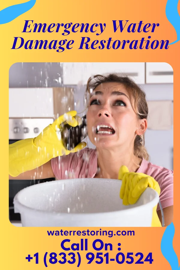 Emergency Water Damage Restoration in Woodbury, NJ