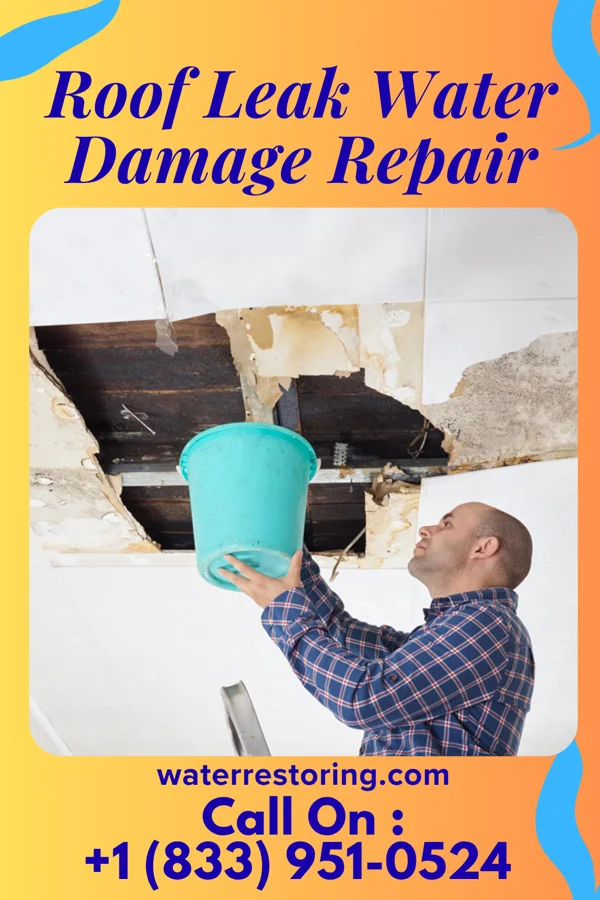 Roof Leak Water Damage Repair in Woodbury, NJ
