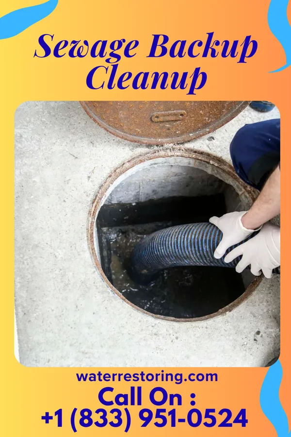Sewage Backup Cleanup in Woodbury, NJ