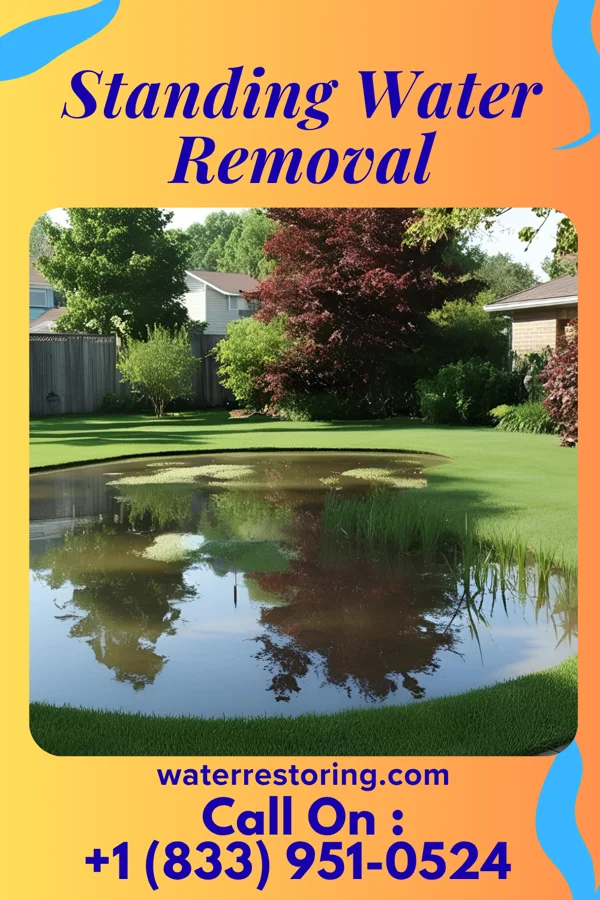 Standing Water Removal in Woodbury, NJ